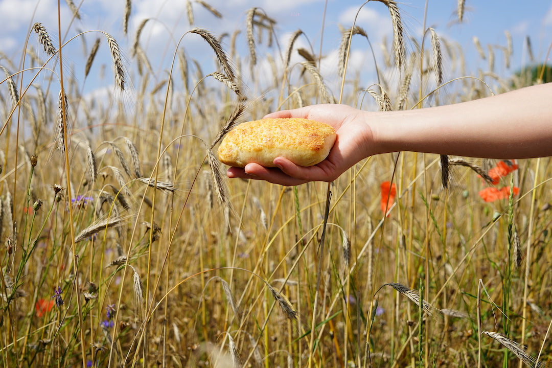 Glutenfreie Ernährung – Die wichtigsten Fakten und Tipps